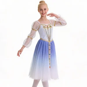 AL R1014 Blue Ombre Ballet Dress Gold Embroidery Stage Performance Dance Wear Custom for Adults and Girls