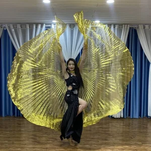 Belly Dance Costume Props Transparent Golden Wings Adults Oriental Indian Osaka Belly Dance Performance Stage