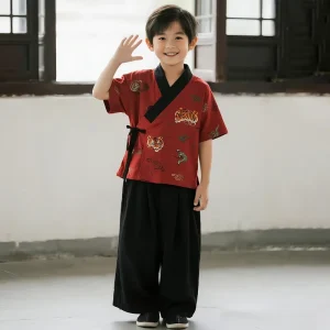 Boys Traditional Hanfu Tang Style Children’s Tang Suit Kung Fu Uniform Pants Top Set