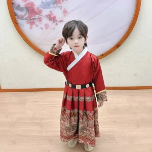 Children’s Feiyufu Ming Dynasty Hanfu Stage Performance Costume Boy