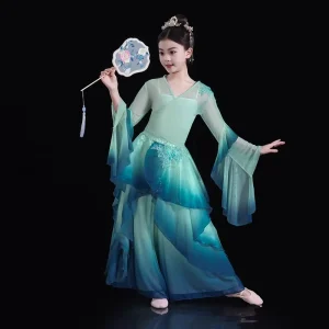 Chinese Dance Costume for Girls C Classical Dance Performance Art Examination Dresses