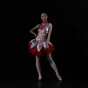 Custom OEM ODM Shiny Stage Dance Wear for Women Costume In Stock 17AX1006