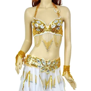 Dpw978 Arab Belly Dance Tribal Bra Top Skirt Suit Costume OEM