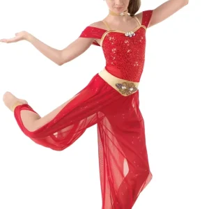 Egyptian Tribal Indian Belly Dance Costume Set