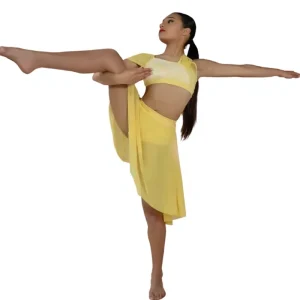 Factory Romantic Giselle Dance Costume for Performance Stage Dance Wear