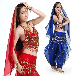 Five-Piece Belly Dance Indian Dance Stage Performance Costume