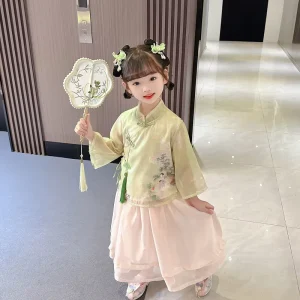 Han Dynasty and Ming Dynasty Style Hanfu Clothing