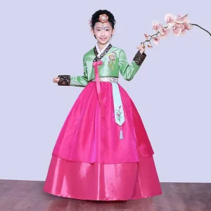 Han Yuefang Children’s Embroidered Cotton Long Sleeve Hanbok Korean Ancient Performance Dress for Girls