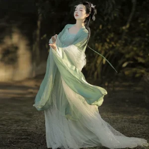 Hanfu Adult Ancient Dress Chested Skirt Chinese Style Spring and Summer Suit