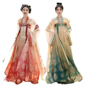 Hanfu Chinese Traditional Dance Performance Dress Floral Print Tang Dress