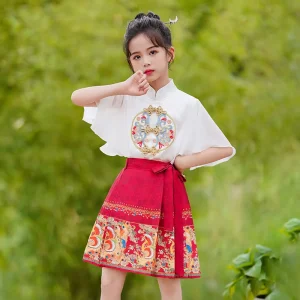 Hanfu Girls Traditional Chinese Tang Suit Performance Set Short Sleeve Top and Skirt