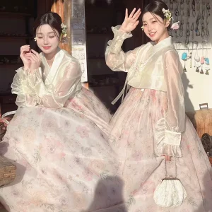 Korean Hanbok Dress Ancient Traditional Stage Dance Costume Women Asian Clothes Lady Palace Korea Wedding Oriantal Dance Cloth