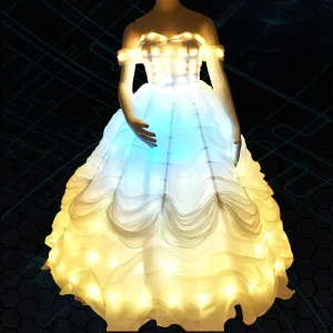 Light Up Princess Dress Halloween Fairy Costume