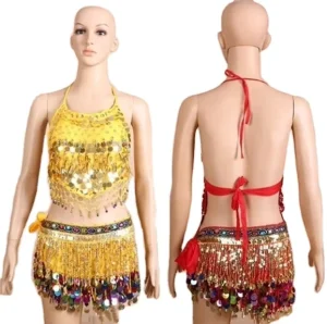 Oriental Indian Belly Dance Costume Set Bollywood Carnival Festival Wear