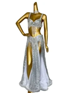 Professional Women Belly Dance Costume Wear for Stage Performance Outfit 3piece Suit Beaded Carnival Dancer Costume Set