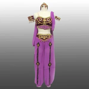 Purple Velvet Indian Arabic Style Tribal Belly Dance Costume