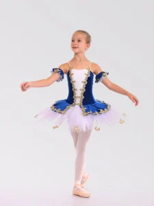 Royal Blue Velvet With Gold Appliques White Ballet Tulle Dance Costumes