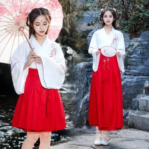 Tang Dynasty Classical Hanfu Robe Swordsman Dance Costume