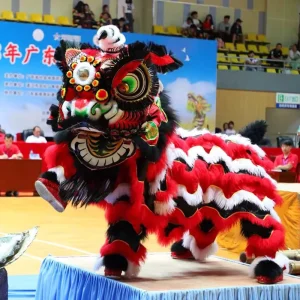 Traditional Chinese Lion Dance Color Art New Year Adult Dragon Wool Plush Performance Authentic Guanyu Lion Costume