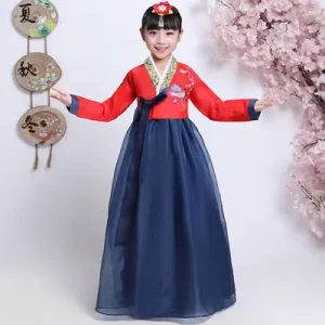 Traditional Korean Women’s Hanbok Dress Set with Embroidery for Weddings and Formal Events