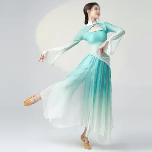 Women Elegant Dance Dress Chinese Folk Dance Costume Fairy Flowing Chiffon Dance Dress Practice Stage Performance Costume
