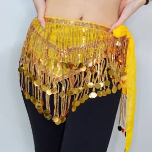 Women’s Belly Dance Costume Carnival Costume Adult Stage Performance Waist Chain Costume