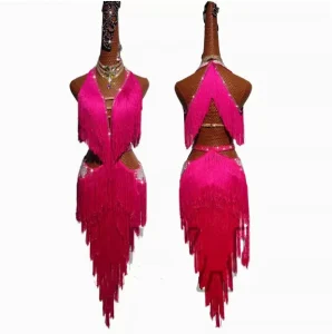 Women’s Latin Dance Performance Competition Ballroom Dress with Skirt